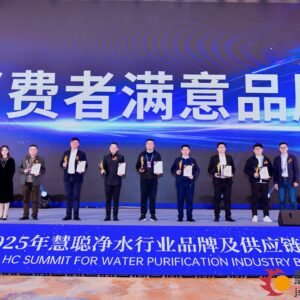 Receiving the Award On the Stage