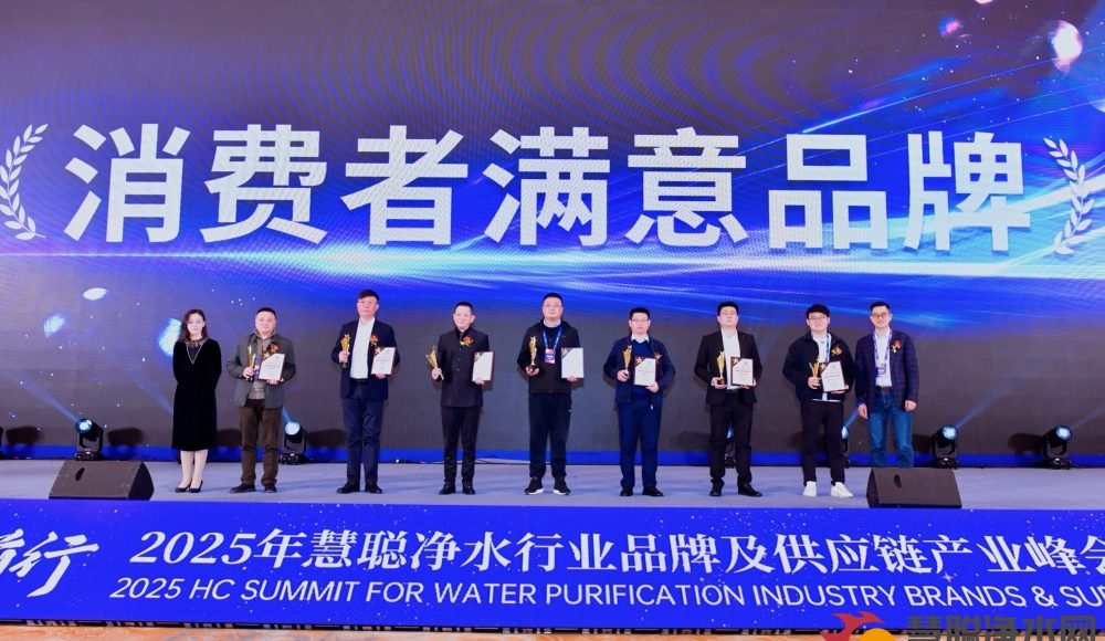 Receiving the Award On the Stage