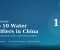 Top 10 Water Purifier Manufacturers